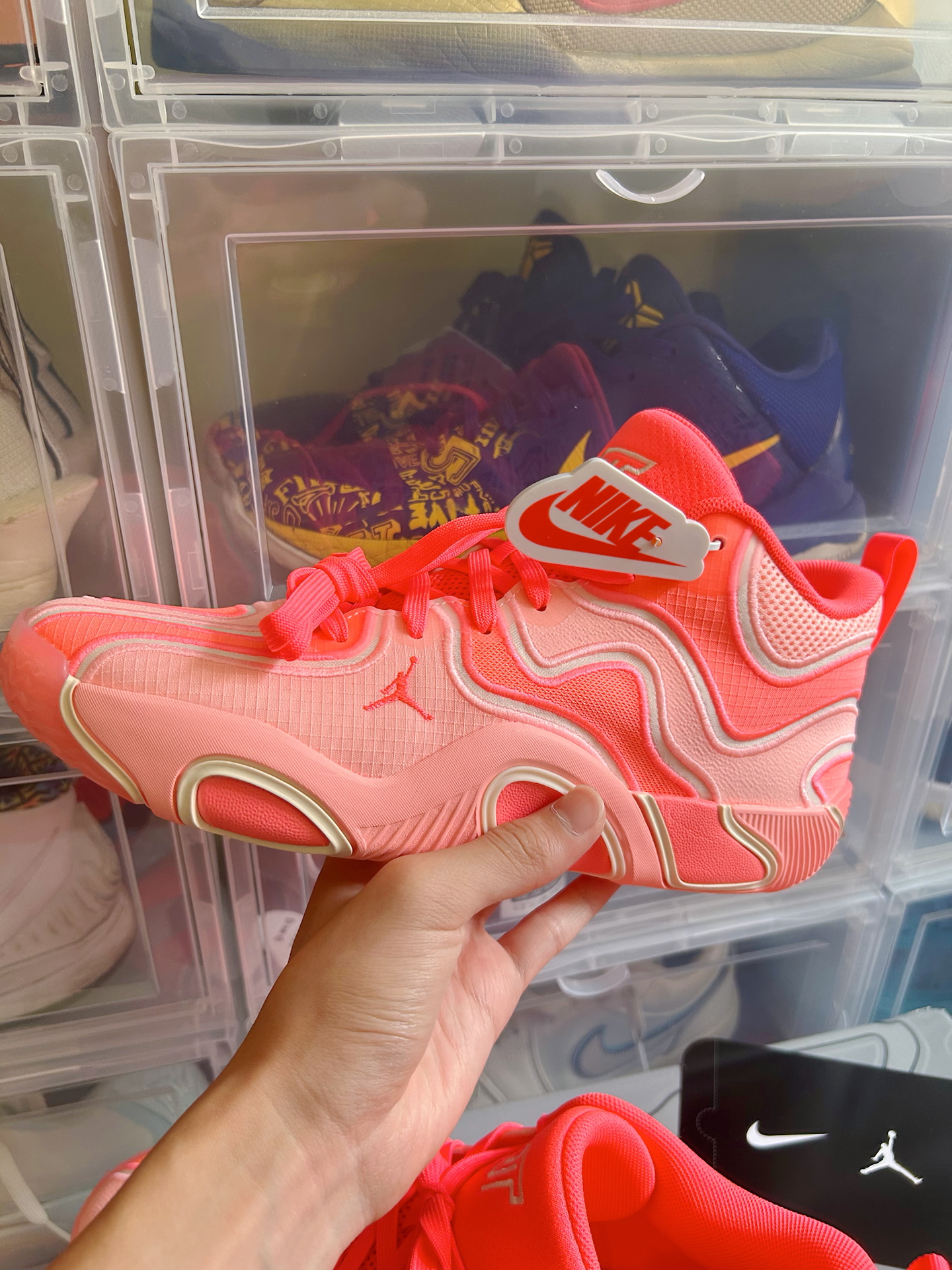 塔图姆新星战术调整表现惊艳,TL未来可期!的简单介绍 塔图姆新星战术调整表现惊艳,TL未来可期!的简单介绍